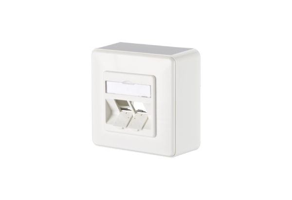 1309150002-E  Modul Anschlussdose AP 2 Port unbestück reinweiß